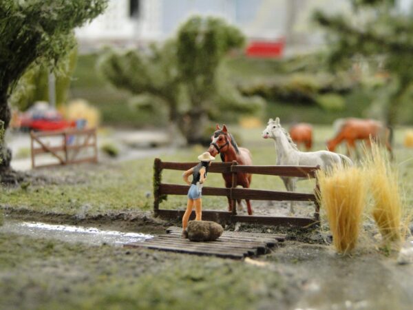 Miniworld-Plaswijckpark Combiticket - Afbeelding 2